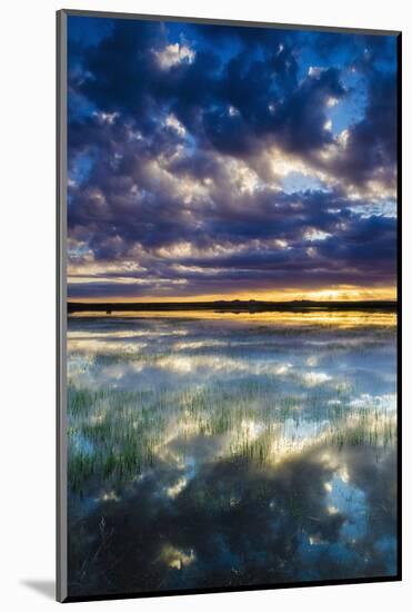 Wetlands at Sunrise, Bosque Del Apache National Wildlife Refuge, New Mexico, Usa-Russ Bishop-Mounted Photographic Print