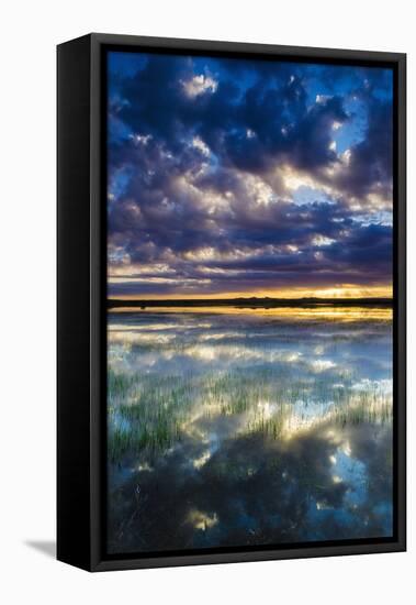 Wetlands at Sunrise, Bosque Del Apache National Wildlife Refuge, New Mexico, Usa-Russ Bishop-Framed Stretched Canvas