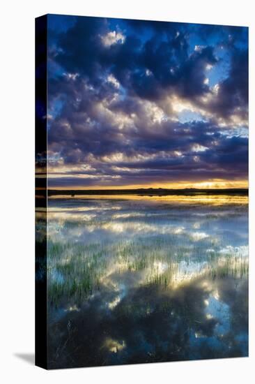 Wetlands at Sunrise, Bosque Del Apache National Wildlife Refuge, New Mexico, Usa-Russ Bishop-Stretched Canvas