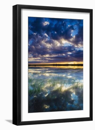 Wetlands at Sunrise, Bosque Del Apache National Wildlife Refuge, New Mexico, Usa-Russ Bishop-Framed Photographic Print