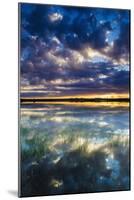 Wetlands at Sunrise, Bosque Del Apache National Wildlife Refuge, New Mexico, Usa-Russ Bishop-Mounted Photographic Print