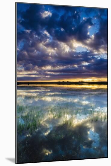 Wetlands at Sunrise, Bosque Del Apache National Wildlife Refuge, New Mexico, Usa-Russ Bishop-Mounted Photographic Print
