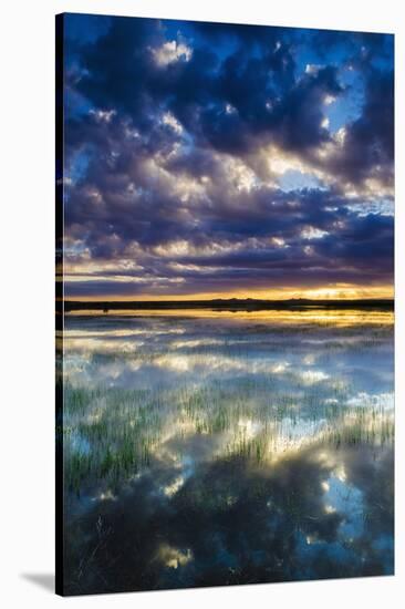 Wetlands at Sunrise, Bosque Del Apache National Wildlife Refuge, New Mexico, Usa-Russ Bishop-Stretched Canvas