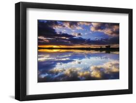 Wetlands at Sunrise, Bosque Del Apache National Wildlife Refuge, New Mexico-Russ Bishop-Framed Photographic Print