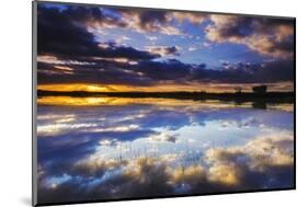 Wetlands at Sunrise, Bosque Del Apache National Wildlife Refuge, New Mexico-Russ Bishop-Mounted Photographic Print