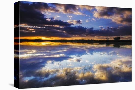 Wetlands at Sunrise, Bosque Del Apache National Wildlife Refuge, New Mexico-Russ Bishop-Stretched Canvas