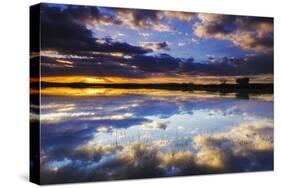 Wetlands at Sunrise, Bosque Del Apache National Wildlife Refuge, New Mexico-Russ Bishop-Stretched Canvas