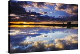 Wetlands at Sunrise, Bosque Del Apache National Wildlife Refuge, New Mexico-Russ Bishop-Stretched Canvas