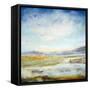 Wetlands II-Jill Martin-Framed Stretched Canvas