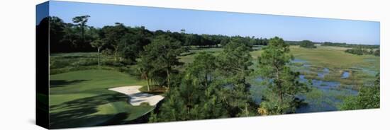 Wetlands in a Golf Course, Cougar Point, Kiawah Island Golf Resort, Kiawah Island-null-Stretched Canvas