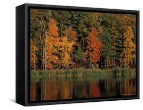 Wetlands in Fall, Peverly Pond, New Hampshire, USA-Jerry & Marcy Monkman-Framed Stretched Canvas