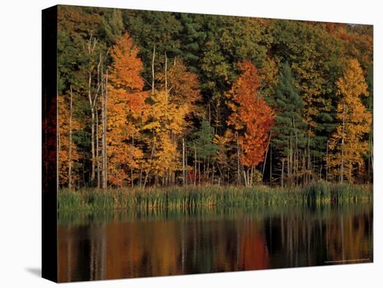 Wetlands in Fall, Peverly Pond, New Hampshire, USA-Jerry & Marcy Monkman-Stretched Canvas