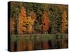 Wetlands in Fall, Peverly Pond, New Hampshire, USA-Jerry & Marcy Monkman-Stretched Canvas