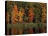 Wetlands in Fall, Peverly Pond, New Hampshire, USA-Jerry & Marcy Monkman-Stretched Canvas