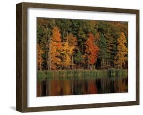 Wetlands in Fall, Peverly Pond, New Hampshire, USA-Jerry & Marcy Monkman-Framed Photographic Print