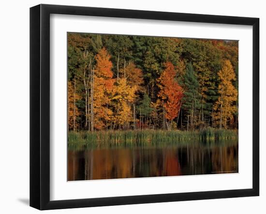 Wetlands in Fall, Peverly Pond, New Hampshire, USA-Jerry & Marcy Monkman-Framed Photographic Print