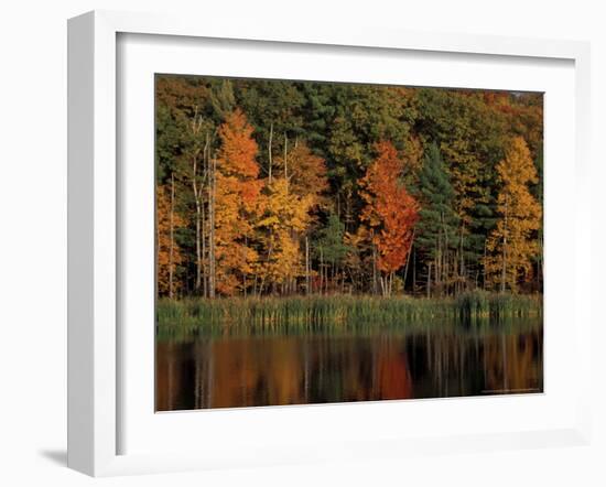 Wetlands in Fall, Peverly Pond, New Hampshire, USA-Jerry & Marcy Monkman-Framed Photographic Print