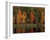 Wetlands in Fall, Peverly Pond, New Hampshire, USA-Jerry & Marcy Monkman-Framed Photographic Print