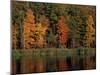 Wetlands in Fall, Peverly Pond, New Hampshire, USA-Jerry & Marcy Monkman-Mounted Photographic Print