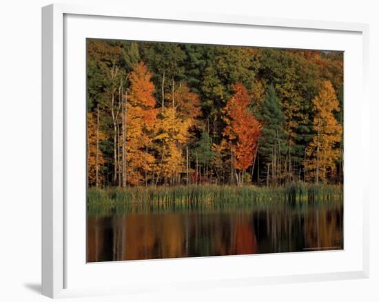 Wetlands in Fall, Peverly Pond, New Hampshire, USA-Jerry & Marcy Monkman-Framed Photographic Print