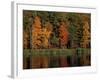 Wetlands in Fall, Peverly Pond, New Hampshire, USA-Jerry & Marcy Monkman-Framed Photographic Print