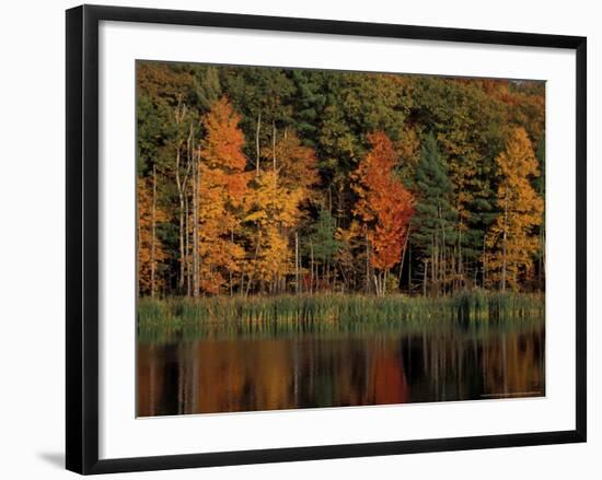 Wetlands in Fall, Peverly Pond, New Hampshire, USA-Jerry & Marcy Monkman-Framed Photographic Print