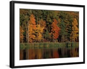 Wetlands in Fall, Peverly Pond, New Hampshire, USA-Jerry & Marcy Monkman-Framed Photographic Print