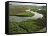 Wetlands of the Cooper River, North Charleston Area, South Carolina, USA-Maxwell Duncan-Framed Stretched Canvas