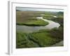 Wetlands of the Cooper River, North Charleston Area, South Carolina, USA-Maxwell Duncan-Framed Photographic Print