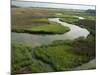 Wetlands of the Cooper River, North Charleston Area, South Carolina, USA-Maxwell Duncan-Mounted Photographic Print