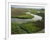 Wetlands of the Cooper River, North Charleston Area, South Carolina, USA-Maxwell Duncan-Framed Photographic Print