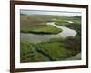 Wetlands of the Cooper River, North Charleston Area, South Carolina, USA-Maxwell Duncan-Framed Photographic Print