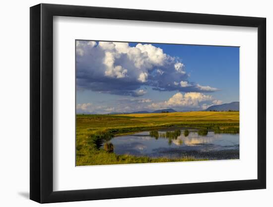 Wetlands pond in the Flathead Valley, Montana, USA-Chuck Haney-Framed Photographic Print