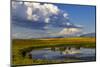 Wetlands pond in the Flathead Valley, Montana, USA-Chuck Haney-Mounted Photographic Print