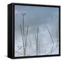 Wetlands Reflections-Richard T. Nowitz-Framed Stretched Canvas