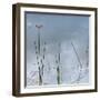 Wetlands Reflections-Richard T. Nowitz-Framed Photographic Print