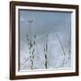 Wetlands Reflections-Richard T. Nowitz-Framed Photographic Print