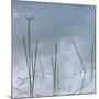 Wetlands Reflections-Richard T. Nowitz-Mounted Photographic Print