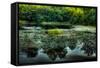 Wetlands-Wolterk-Framed Stretched Canvas