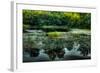 Wetlands-Wolterk-Framed Photographic Print