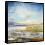 Wetlands-Jill Martin-Framed Stretched Canvas