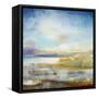 Wetlands-Jill Martin-Framed Stretched Canvas