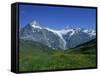 Wetterhorn and Schreckhorn Viewed from First in the Bernese Oberland, Switzerland, Europe-Hans Peter Merten-Framed Stretched Canvas