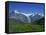 Wetterhorn and Schreckhorn Viewed from First in the Bernese Oberland, Switzerland, Europe-Hans Peter Merten-Framed Stretched Canvas