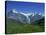 Wetterhorn and Schreckhorn Viewed from First in the Bernese Oberland, Switzerland, Europe-Hans Peter Merten-Stretched Canvas