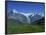 Wetterhorn and Schreckhorn Viewed from First in the Bernese Oberland, Switzerland, Europe-Hans Peter Merten-Framed Photographic Print