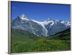 Wetterhorn and Schreckhorn Viewed from First in the Bernese Oberland, Switzerland, Europe-Hans Peter Merten-Framed Photographic Print