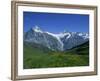 Wetterhorn and Schreckhorn Viewed from First in the Bernese Oberland, Switzerland, Europe-Hans Peter Merten-Framed Photographic Print