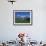 Wetterhorn and Schreckhorn Viewed from First in the Bernese Oberland, Switzerland, Europe-Hans Peter Merten-Framed Photographic Print displayed on a wall