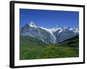 Wetterhorn and Schreckhorn Viewed from First in the Bernese Oberland, Switzerland, Europe-Hans Peter Merten-Framed Photographic Print